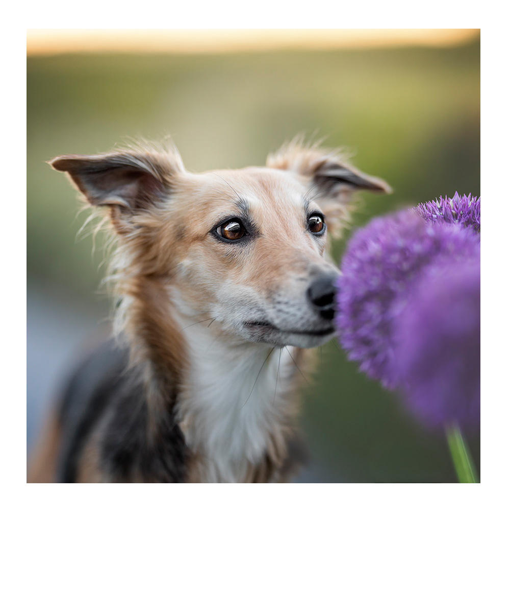 schlafendes Baby in weiß