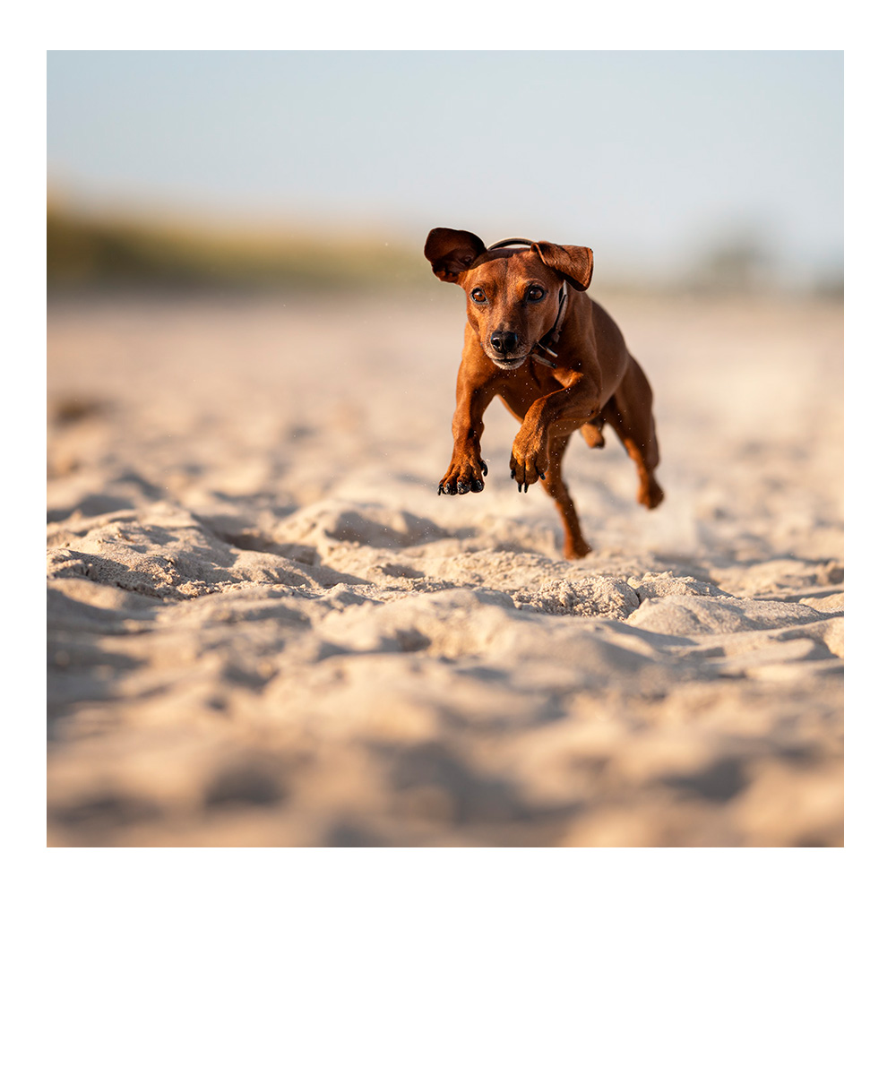 schlafendes Baby in weiß