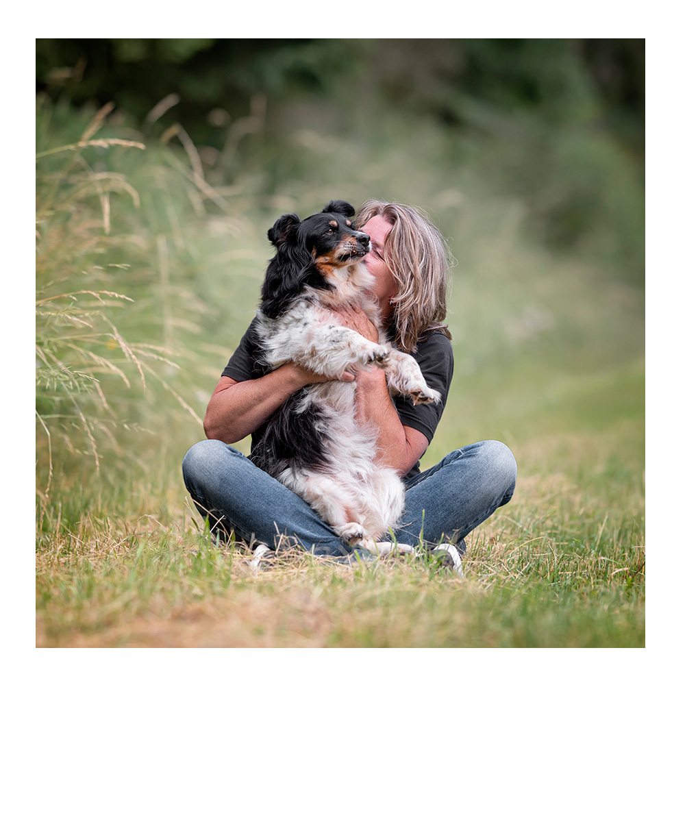 mittelgroßer rotbrauner Hund steht im herbstlichen Wald