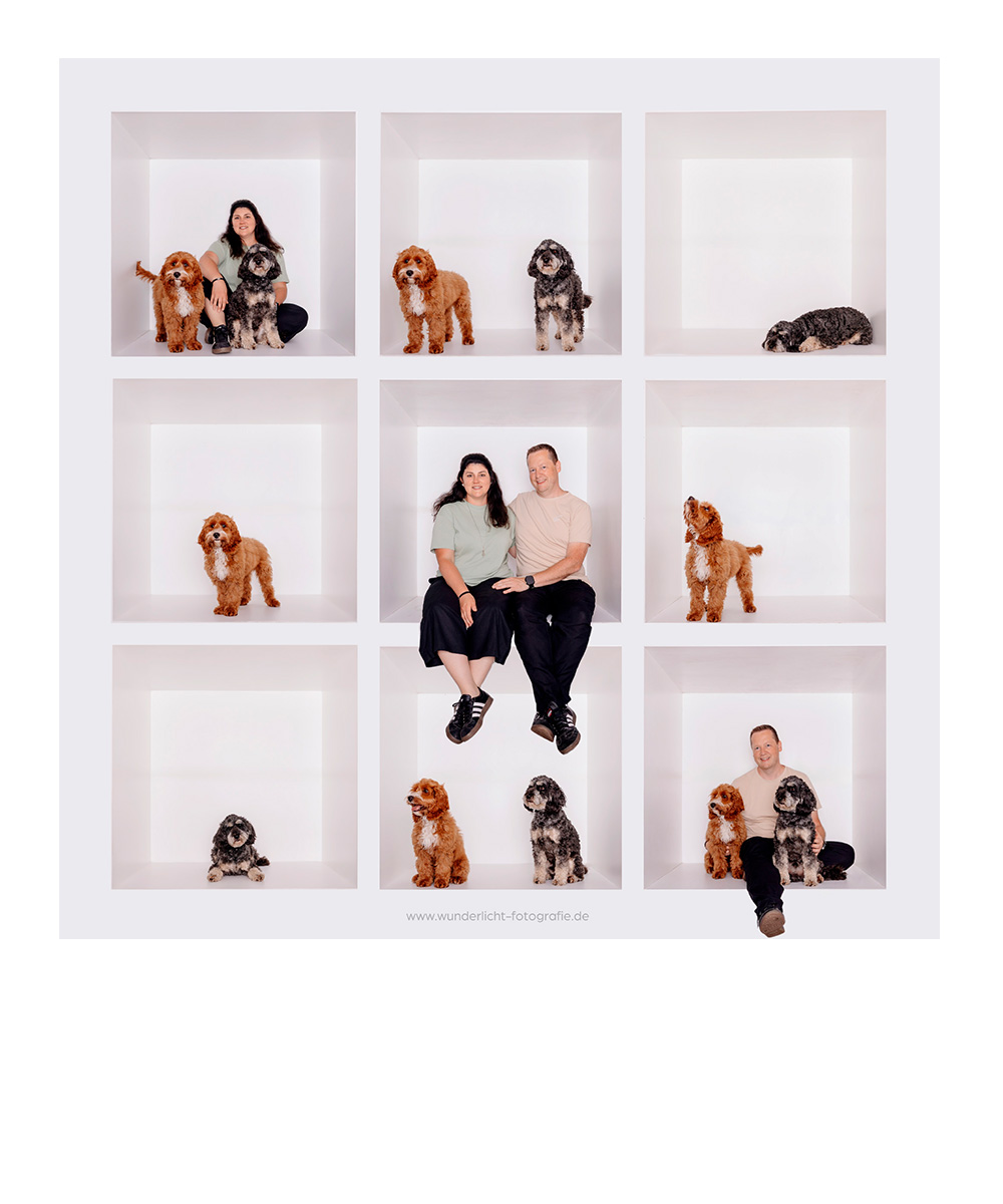 Box-Foto von 2 Cockapoos und ihren Menschen